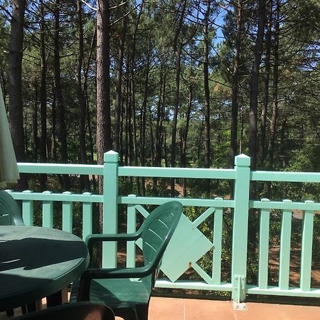 Apt T2 Calme Sur Golf, Piscine, Ocean 10 Min En Velo Lacanau Luaran gambar