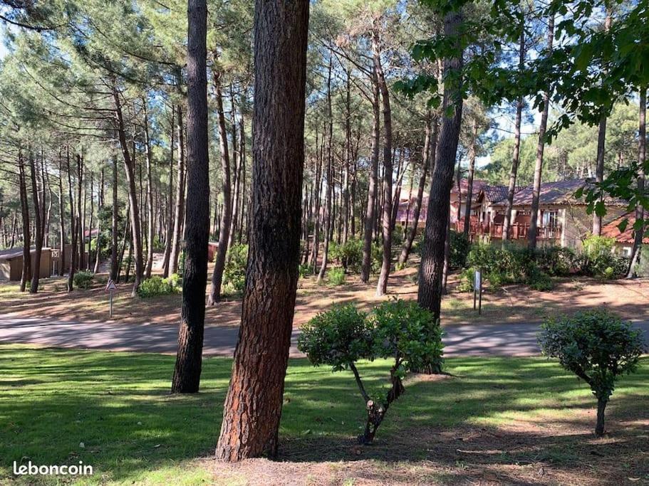 Apt T2 Calme Sur Golf, Piscine, Ocean 10 Min En Velo Lacanau Luaran gambar